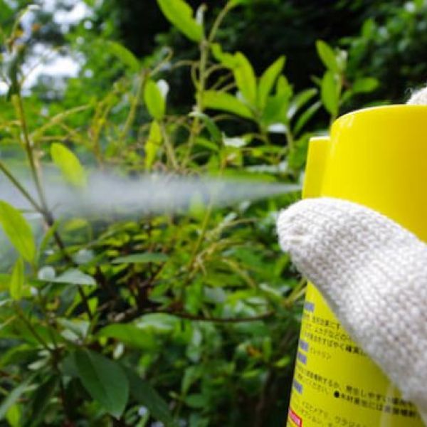 蜂をノックアウト 本当に効果がある殺虫剤ランキング 成分も解説 ハチの知恵袋 読めばトクするハチ対策
