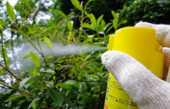 蜂をノックアウト 本当に効果がある殺虫剤ランキング 成分も解説 ハチの知恵袋 読めばトクするハチ対策